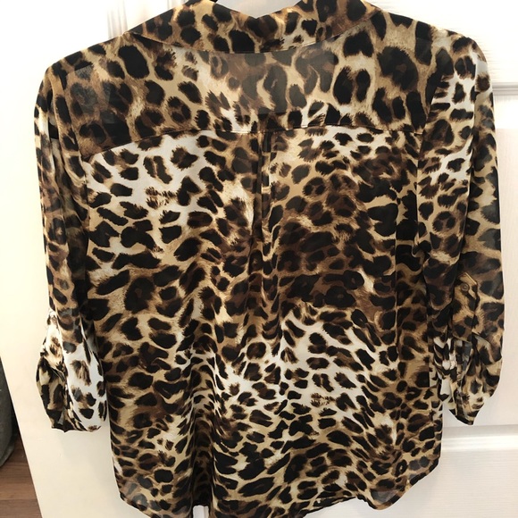 Leopard print sheer blouse - Picture 3 of 5